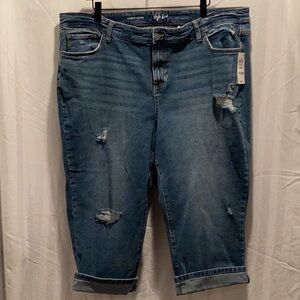 Style & Co Curvy Capri Jean